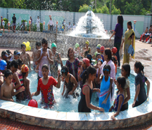 Summer Outing